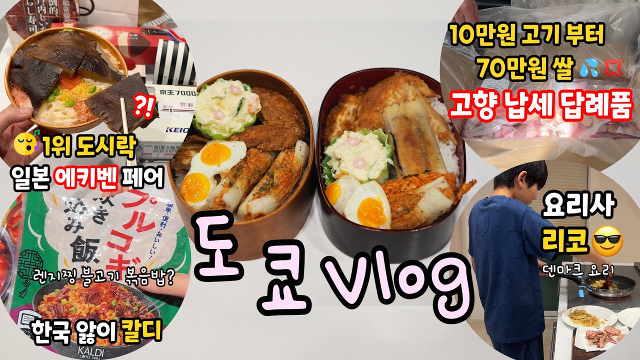 일본 에키벤 1위 도시락을 먹어 봤는데..😎일본 고향납세 답례품 언박씽🎁개취 추천🪄#집밥#먹방🤗프로유튜바 리코의 #덴마크요리 만들기 도전기🫣#도시락#칼디#백화점#장보기 도쿄일상💪🏻