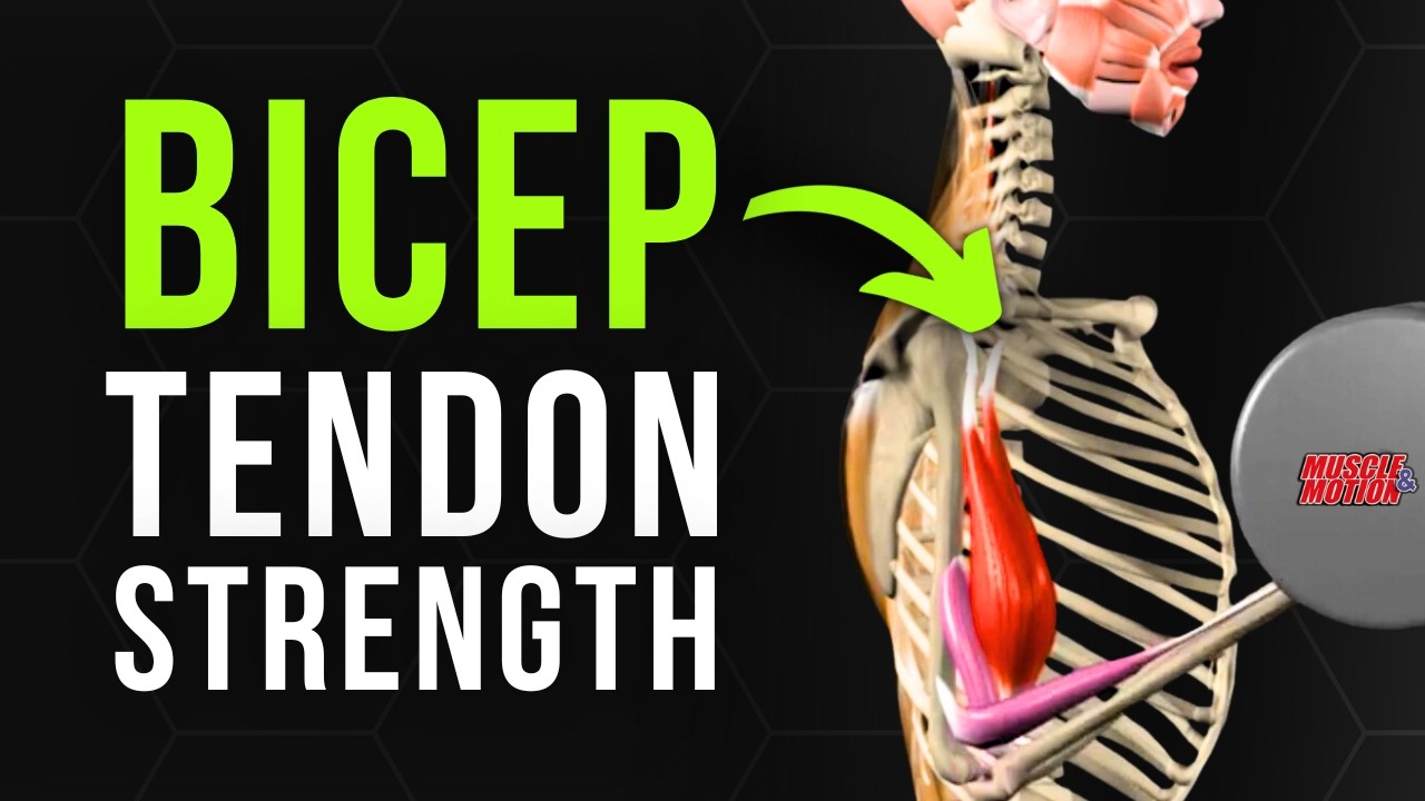 Укрепите сухожилия бицепса за 5 минут