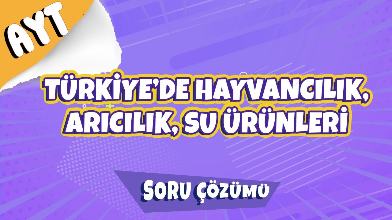 Türkiye'de Hayvancılık, Arıcılık, Su Ürünleri Soru Çözümü | 2022