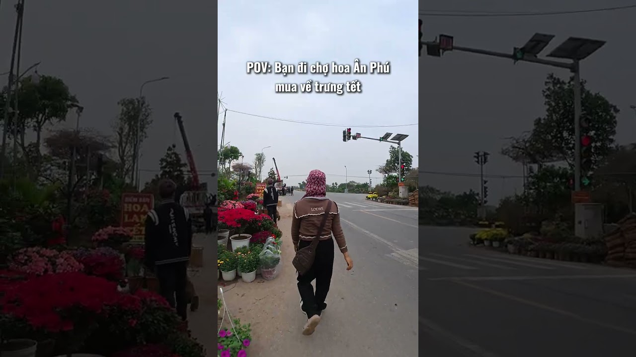 POV: Bạn đi chợ hoa Ân Phú mua về trưng tết #longdalat #bacninh #pov