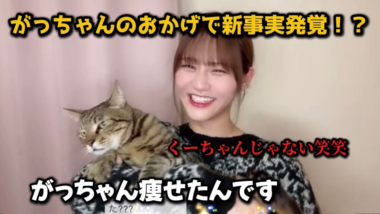 髙松家の猫ちゃん事情と衝撃の事実判明！？《=LOVE 髙松瞳》