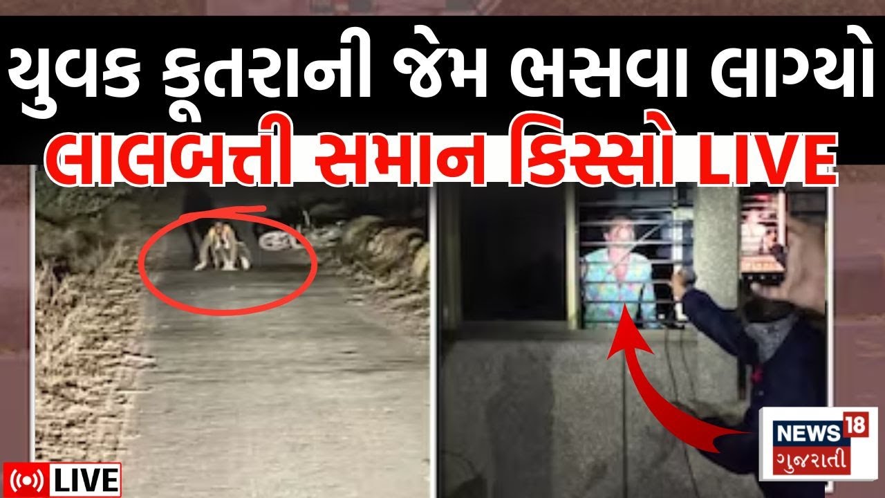 Rabies triggers disturbing behaviour in youth, Watch LIVE | યુવકને કૂતરું કરડ્યું,પછી ભયાનક દ્રશ્યો