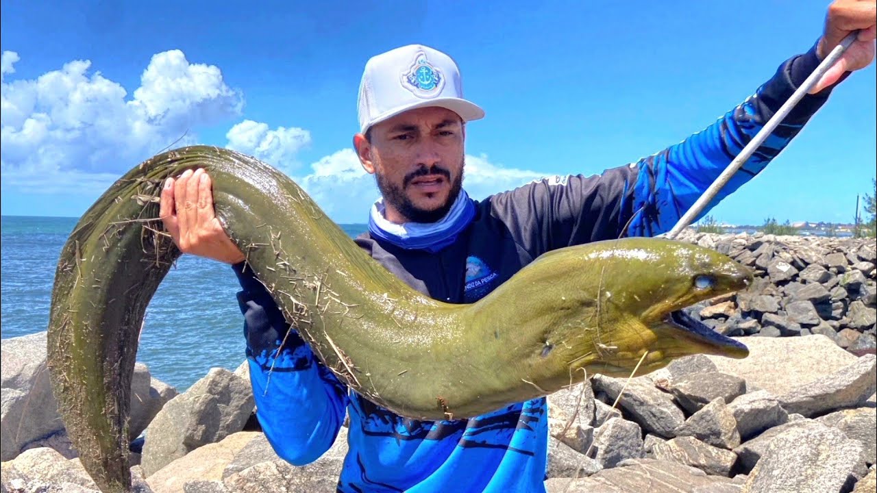 CA&Ccedil;ADA DE CARAMURU GIGANTE  no MEIO DAS PEDRAS!!! ( MOREIA ) - Catch and Cook.