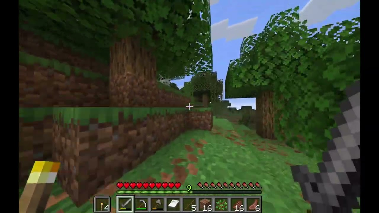 Ev.mp4