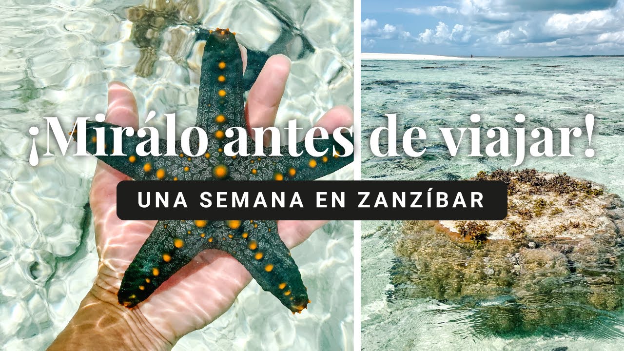 Una semana EN ZANZIBAR, TANZANIA 🌴 ¿Cuál es la mejor zona para alojarse?