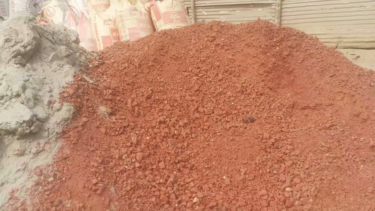 অনিয়মের আখড়া---