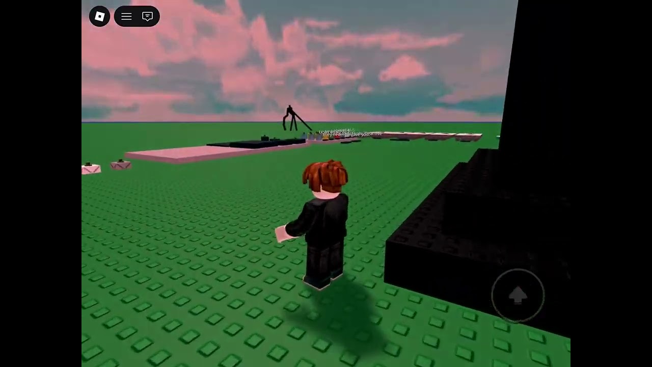 The weirdest game on Roblox it’s called leave