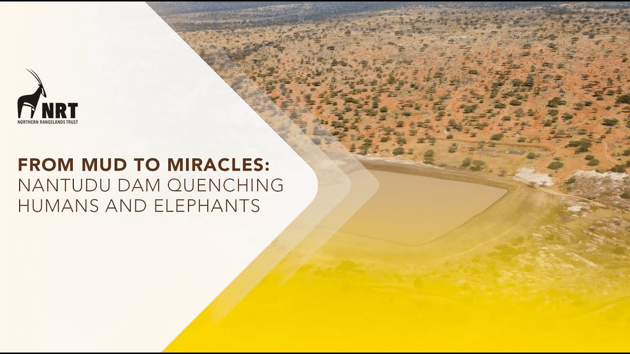 From Mud To Miracles: Nantudu Dam Quenching Humans And Wildlife