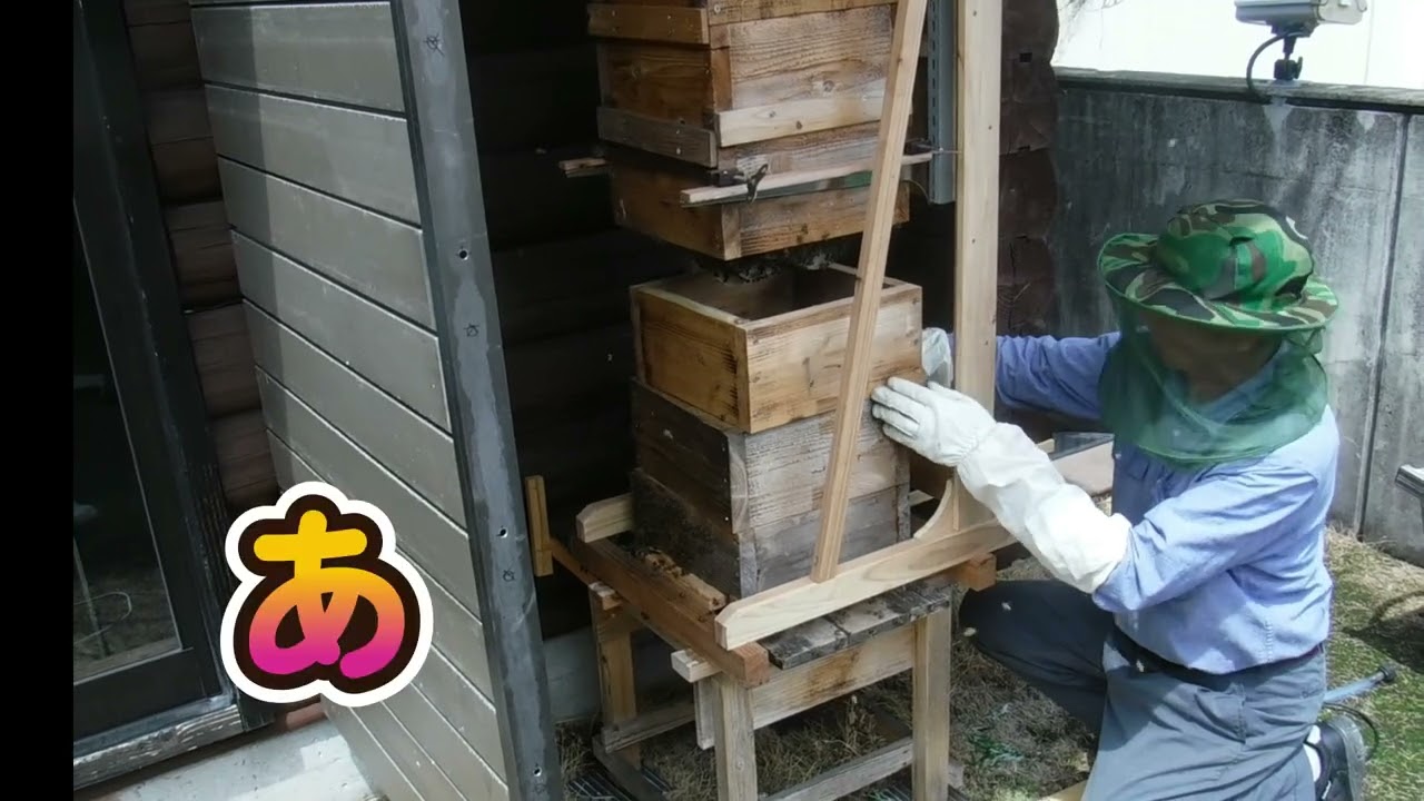 自作リフターでミツバチ巣　継箱