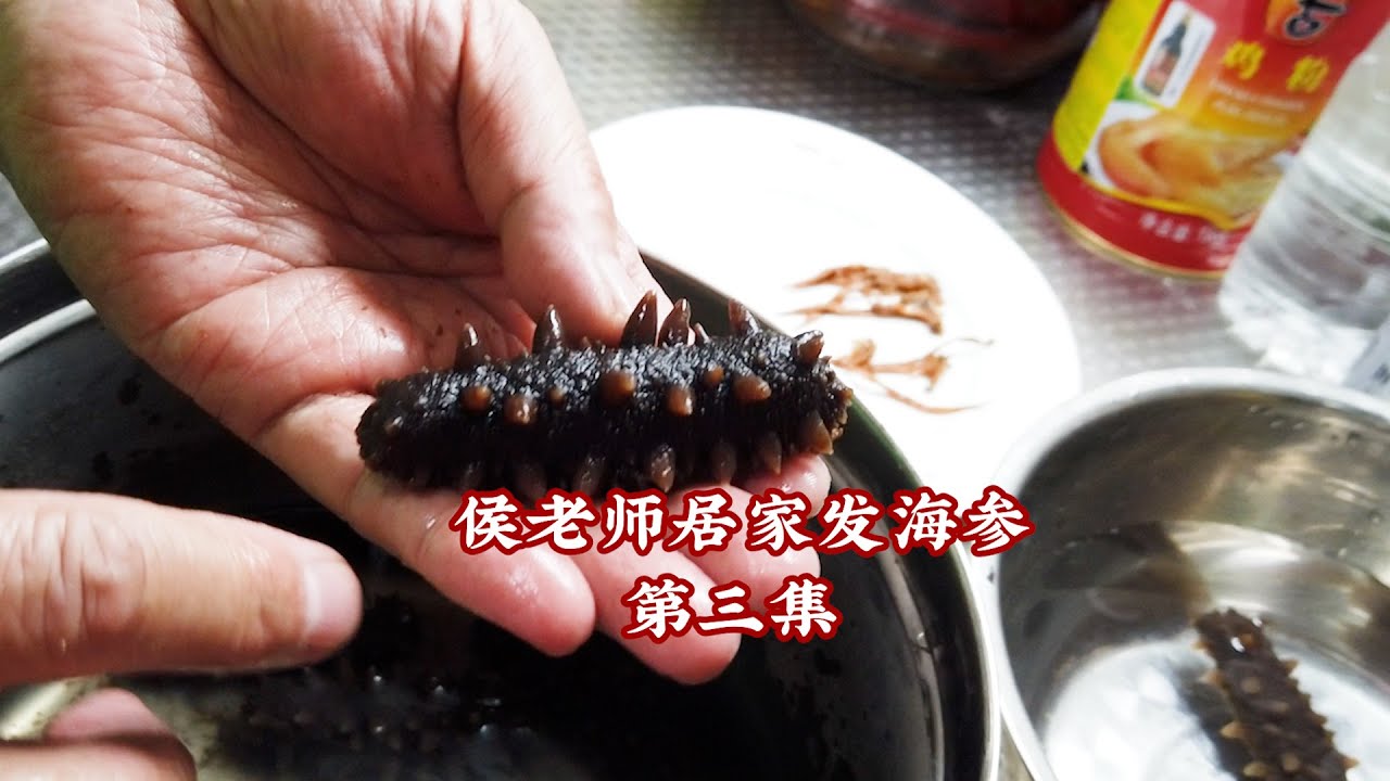 【國宴大師•發海參】海參泡發時總有異味？侯老師手把手教你一次成功！（第三集）| 老飯骨