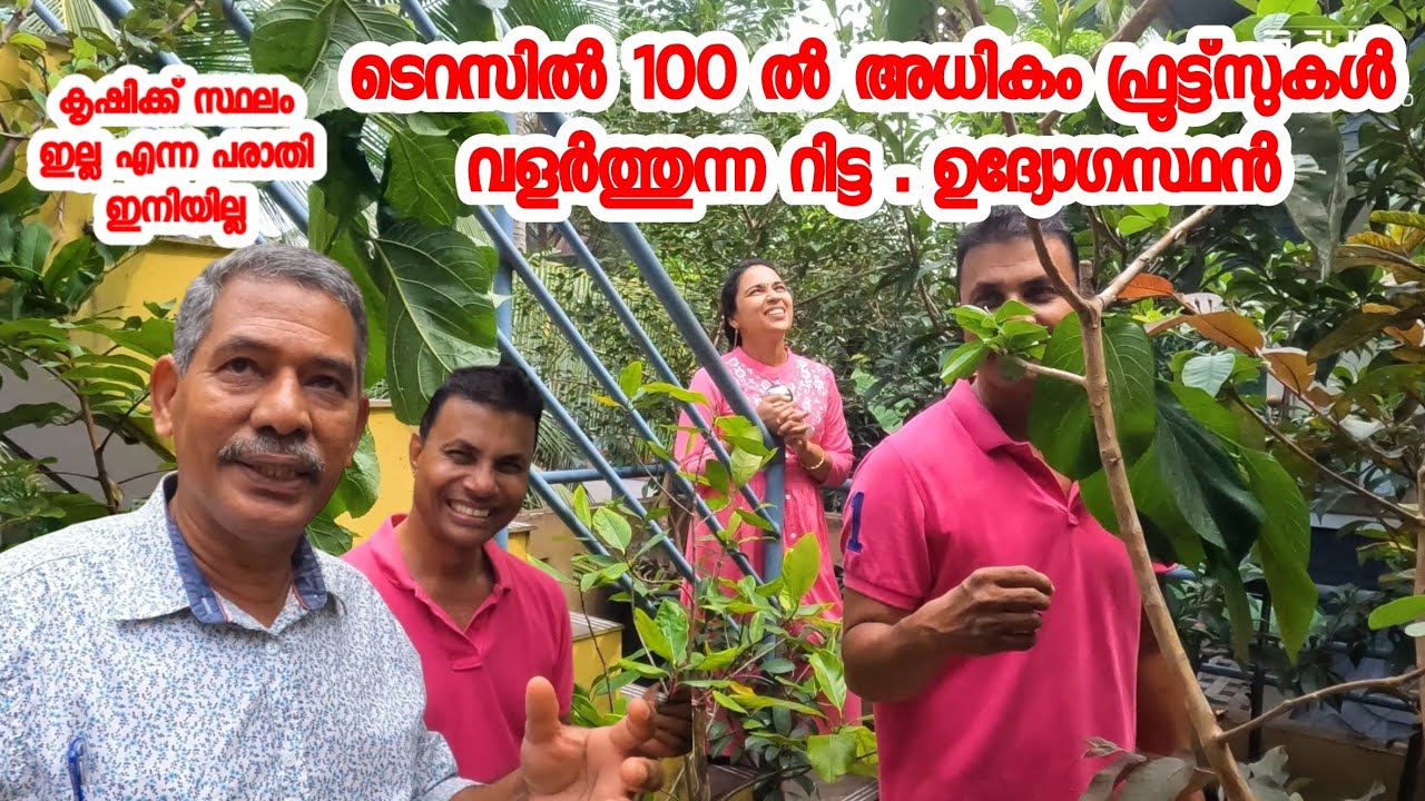ടെറസിൽ100 ൽ അധികം പഴ ചെടികൾ വളർത്തുന്ന റിട്ട. ഉദോഗസ്ഥൻ ../100 fruit trees in Terrace/AJU'S WORLD