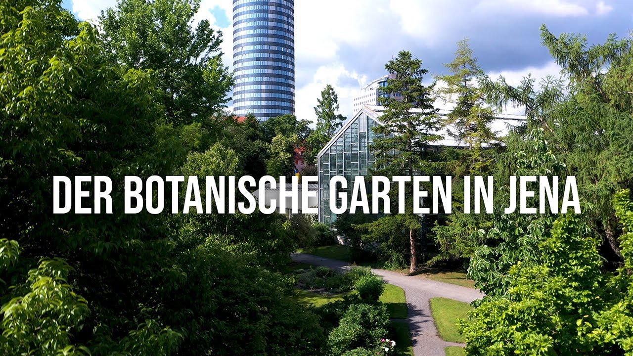 Drohnenrundflug durch den Botanischen Garten Jena