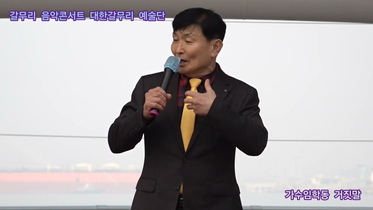 가수임학동 거짓말 원곡조항조 갈무리 음악콘서트 대한갈무리 예술단 정기공연 관광특구 월미도 갈매기무대 특설무대 