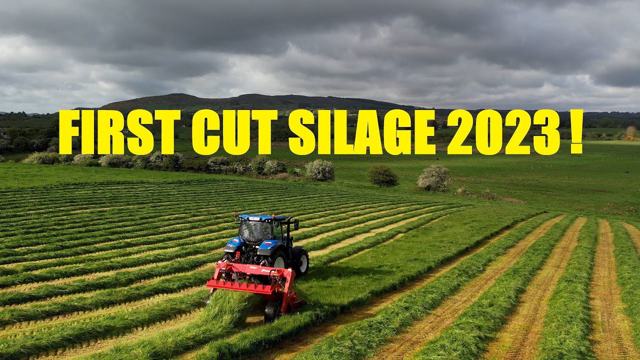 THE EARLIEST IVE CUT SILAGE.. 11TH MAY 2023 FIRST CUT SILAGE 2023