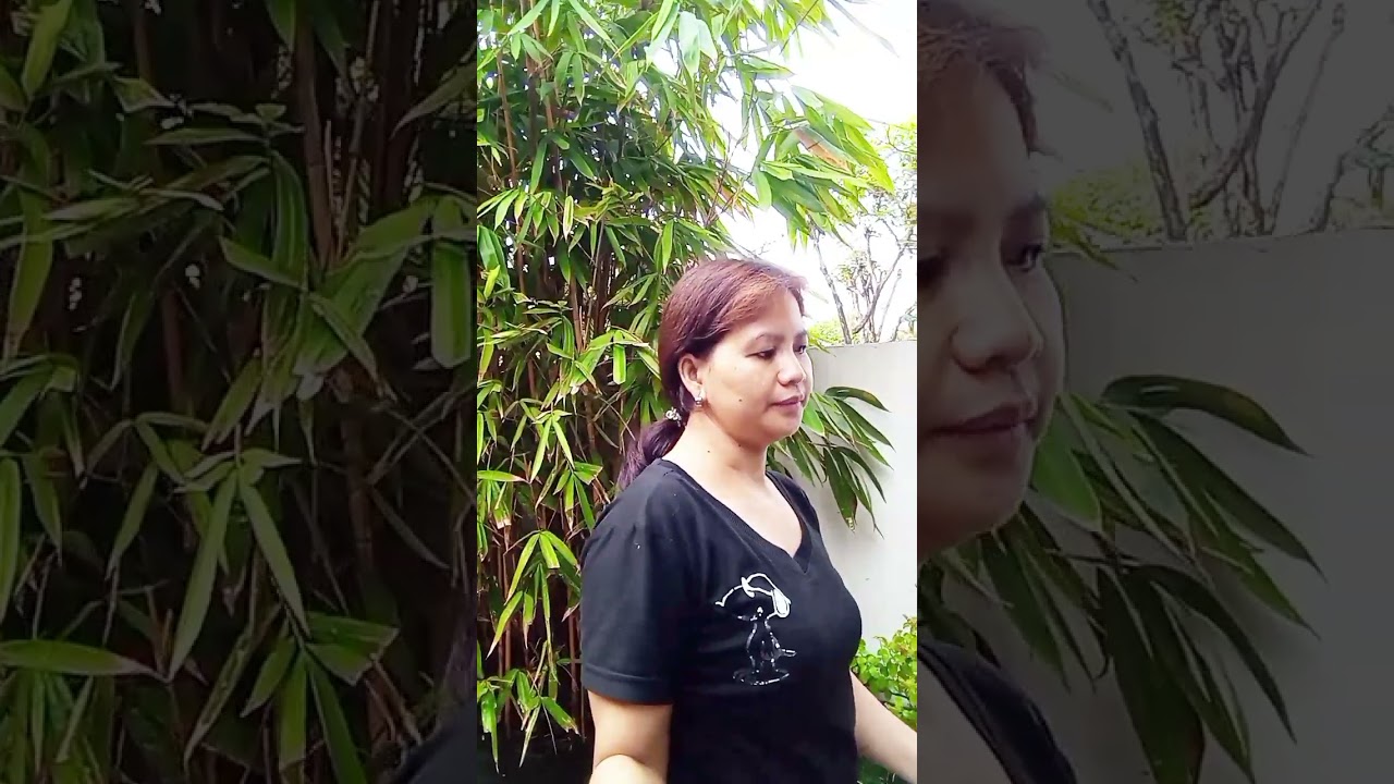 Umagang nagdidilig ng mga halaman 