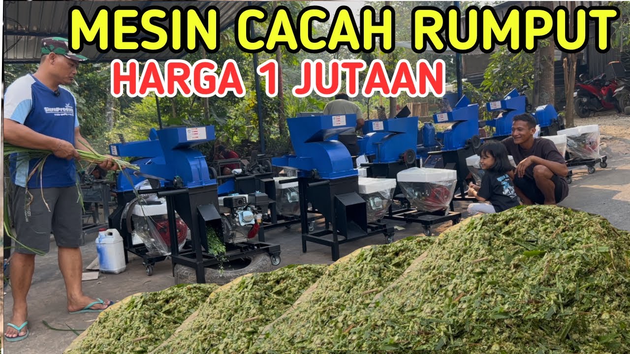 MESIN CACAH RUMPUT HARGA 1 JUTAAN SIAP KIRIM