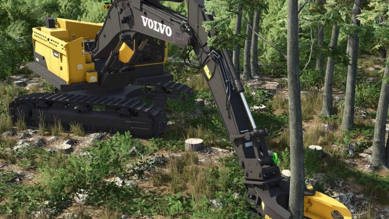 Wrapping Up Tree Harvesting