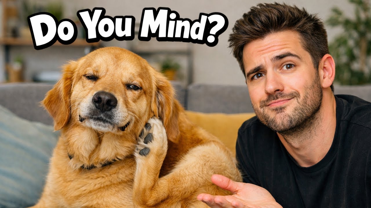 Why Your Dog Can’t Stop Scratching 🐾
