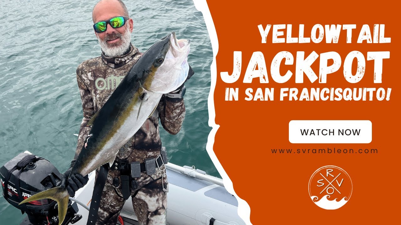 Spearfishing VICTORY!:  Yellowtail Jack  | SV Ramble On