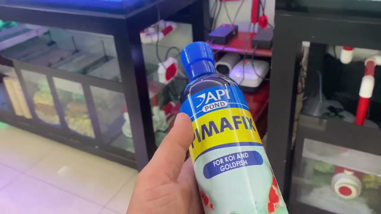 anh khách ủng hộ BỘ HỒ THỨ N