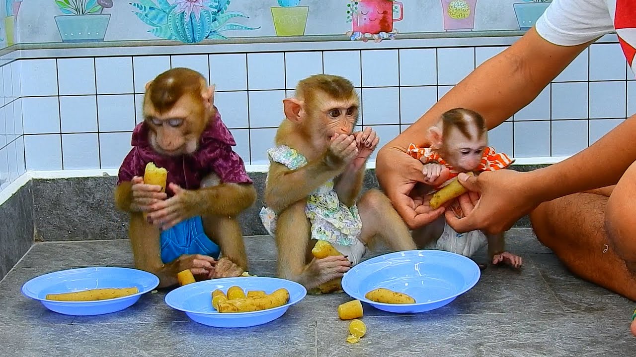 Dad try to management all 3 children PL,JL,BN , to get good manner in food time.