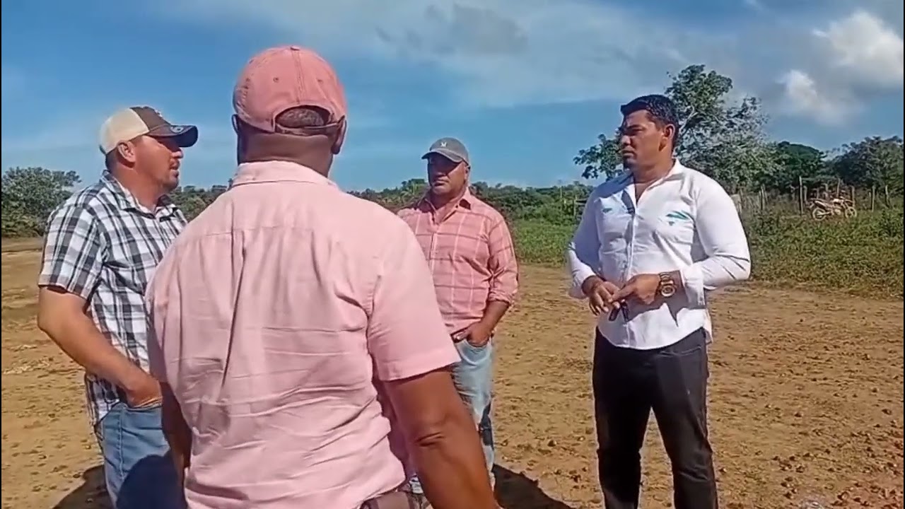 Producción de Palma Velle de Sico Iriona Colón Honduras 