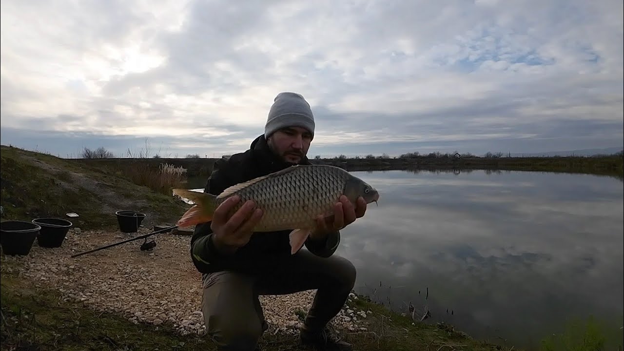 Pescuit la FEEDER, ultima partida la CRAP, luna DECEMBRIE 🎣🎣🎣