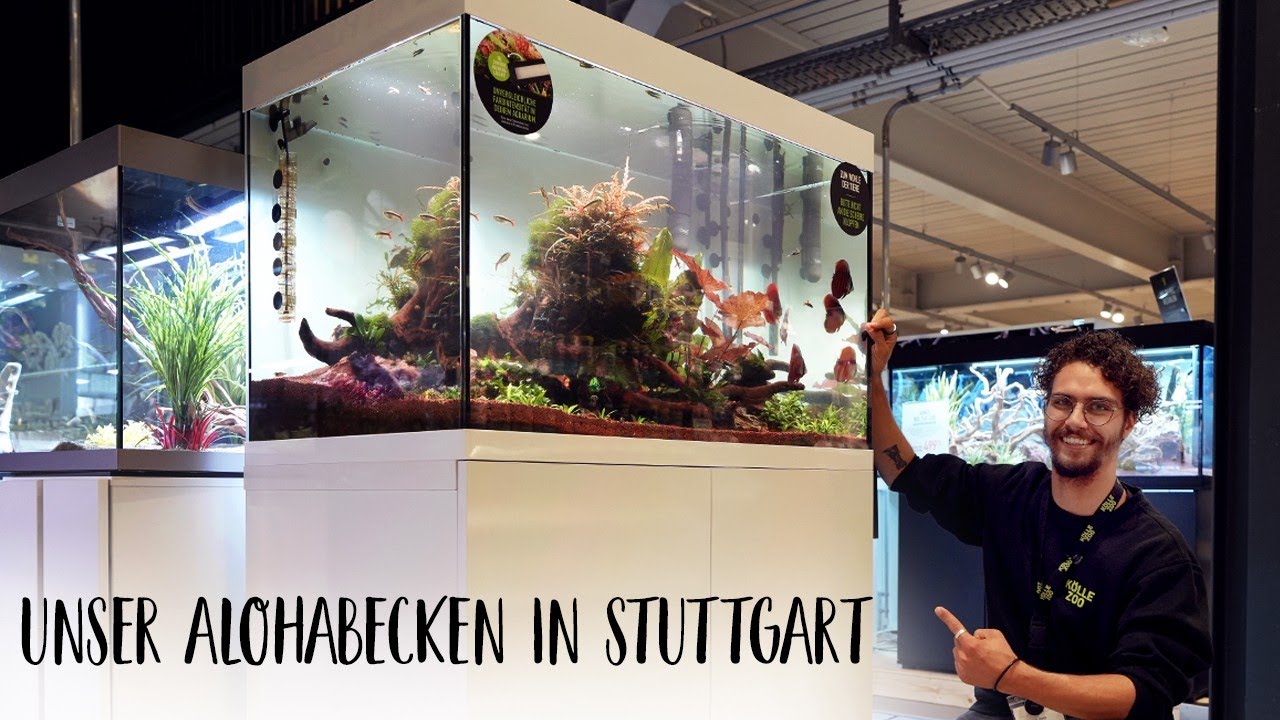 Unser Aloha Ohana Aquarium in Stuttgart | KÖLLE ZOO