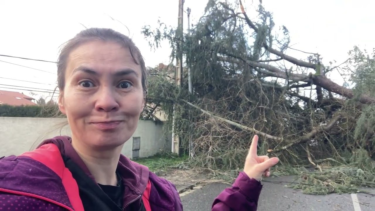 Штормове попередження і наслідки негоди. 🌧️💨Vlog 26.39