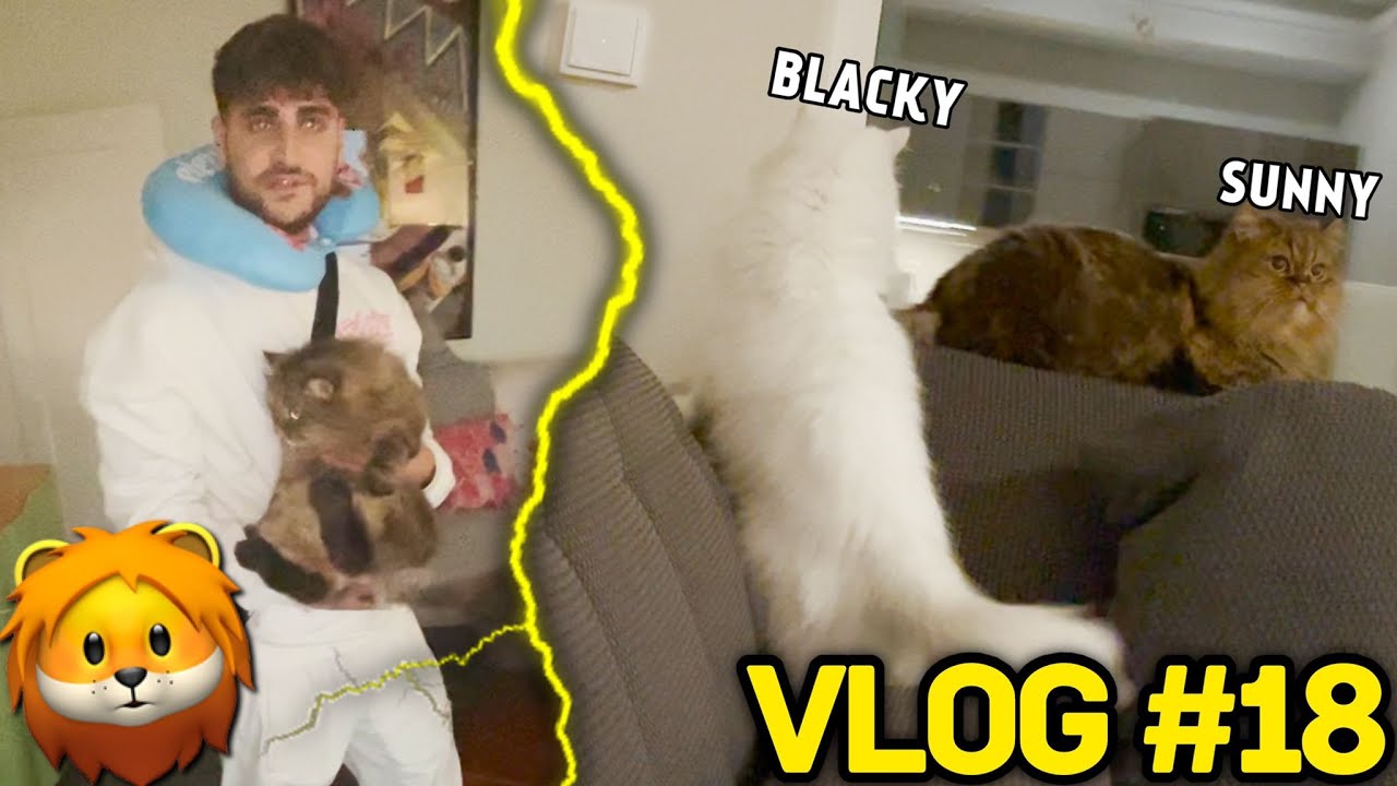ELI & SUNNY TREFFEN SICH WIEDER😻 Loster Tag aus meinem Leben😂🔥 VLOG #18 | SIDNEYEWEKA