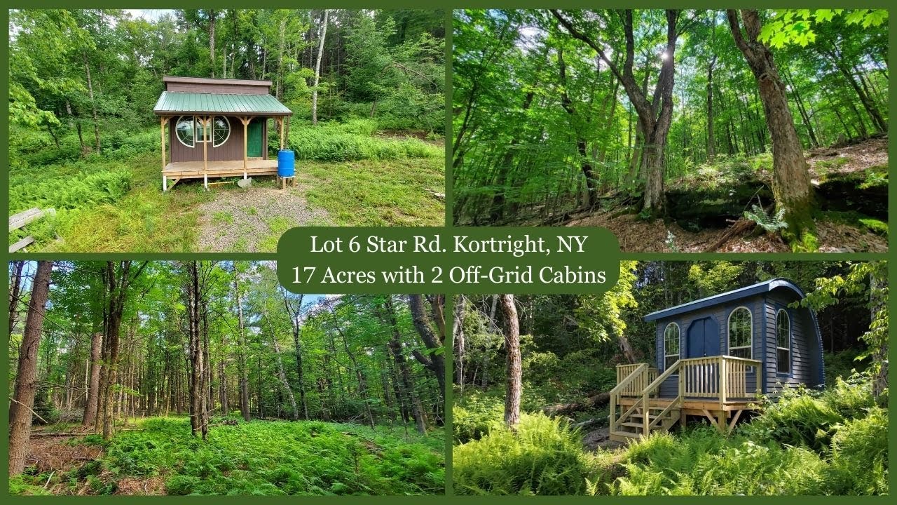 Lot 6 Star Rd. Kortright, NY - 17 Wooded and Private Acres with 2 Off Grid Cabins.