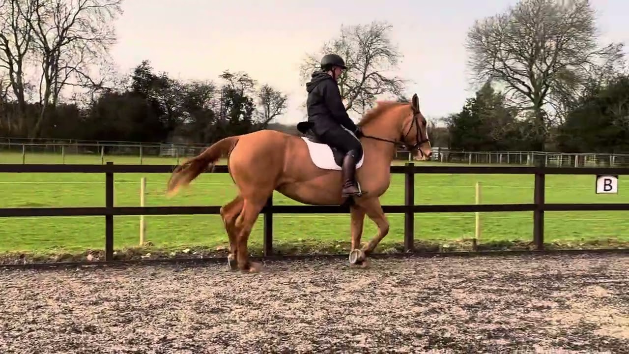 Foxy flat work 