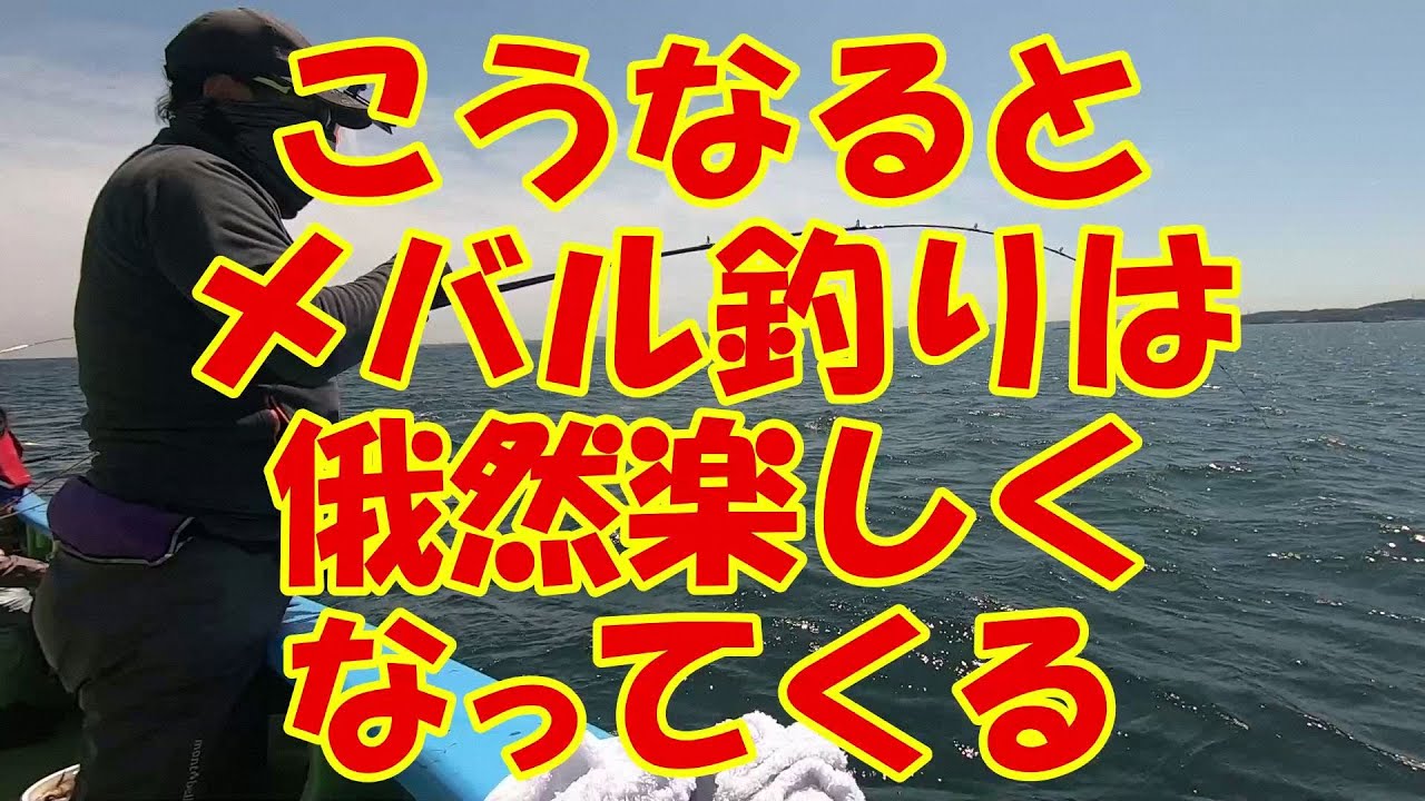 煮付け級４匹込み大メバル一荷乱舞で癒されまくり♥～メバルは凪を釣れなはずだが風で活性↑↑↑～（2021.5.3 金沢八景・一ノ瀬丸 午前メバル）