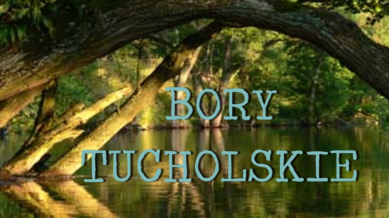 Bory Tucholskie - deszczowa wyprawa pośród jezior i lasów
