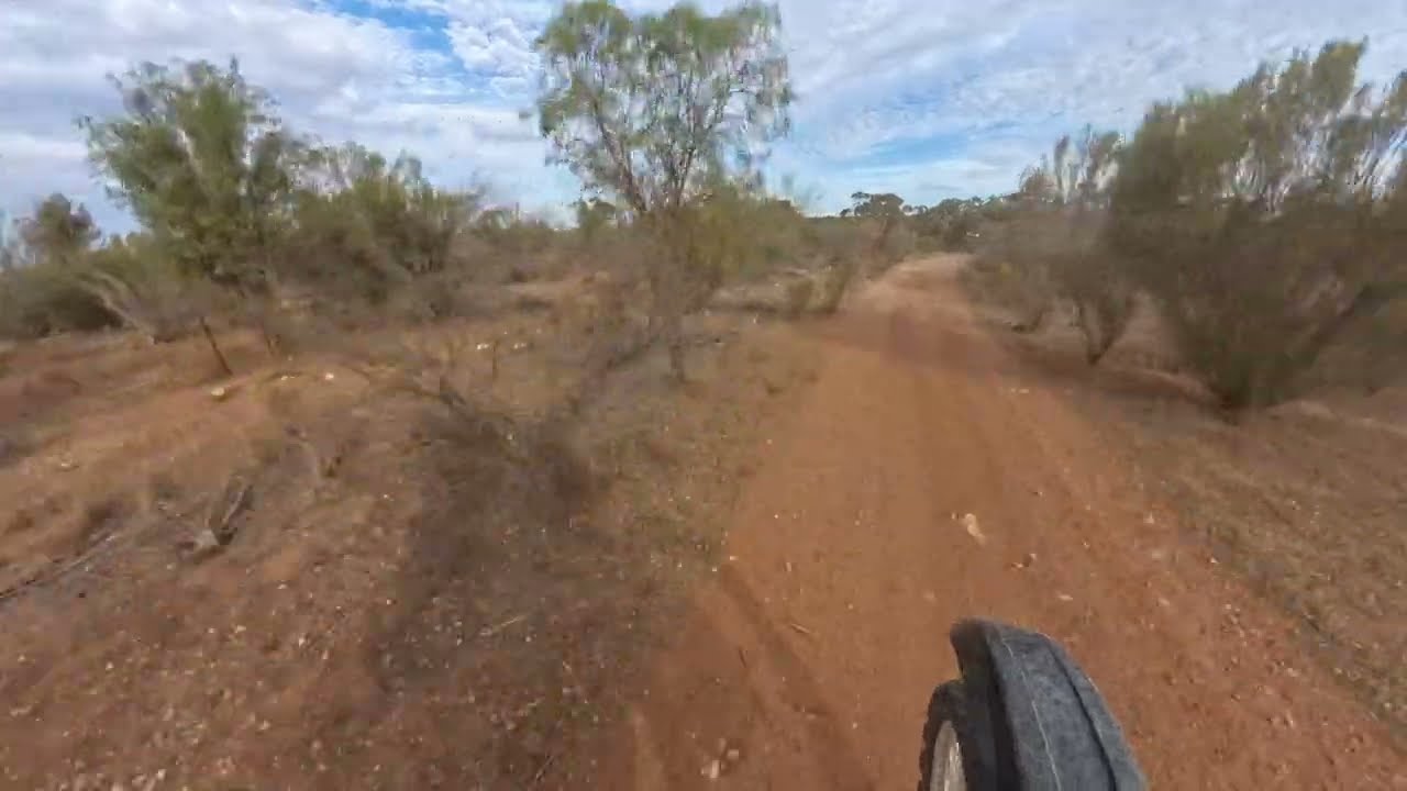 swan reach loop p5