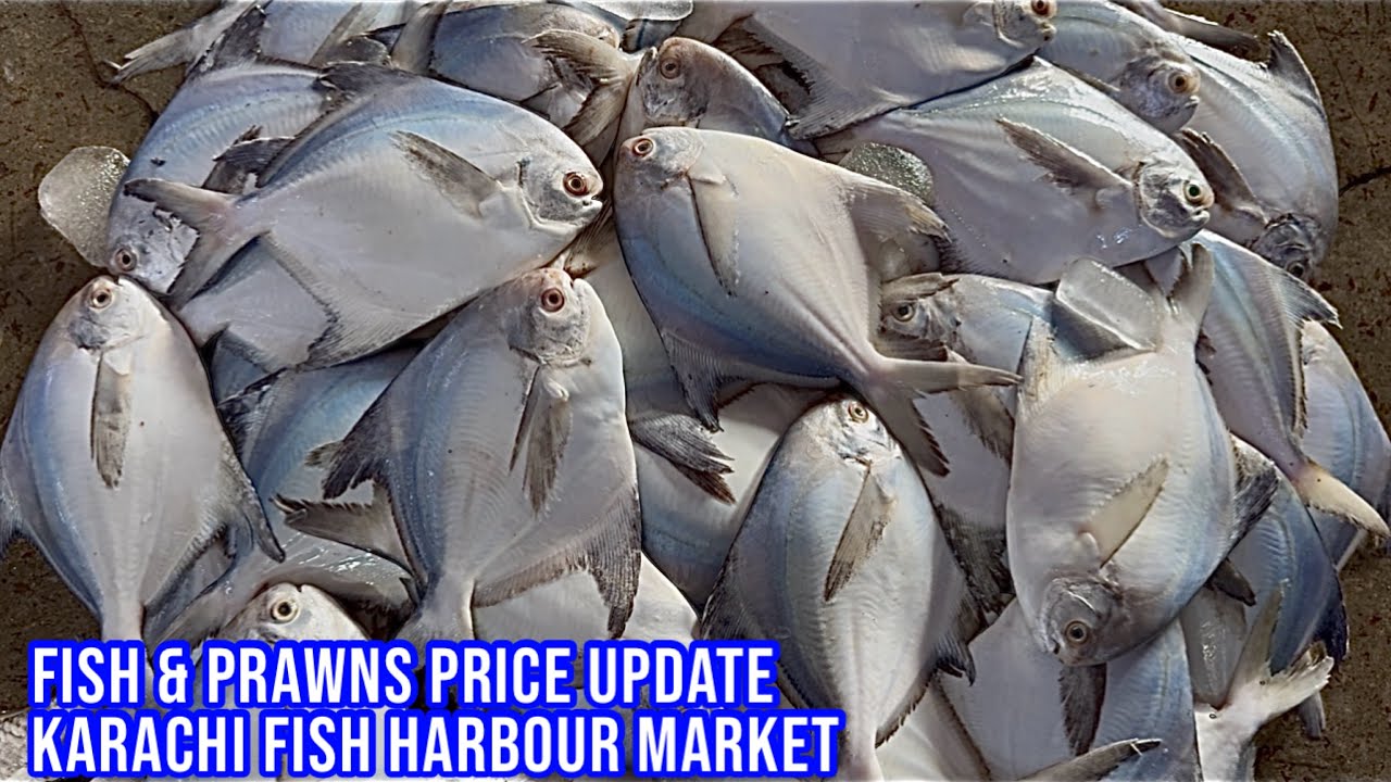 FISH & PRAWNS PRICE UPDATE KARACHI FISH HARBOUR MARKET March 2, 2026
