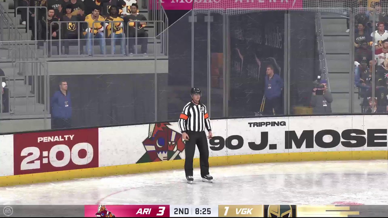 NHL 24\25 playoffs🗣️🔊🔥