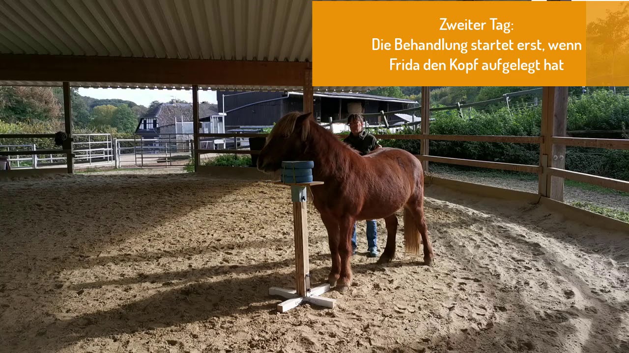 Behandlung mit dem Novafon power