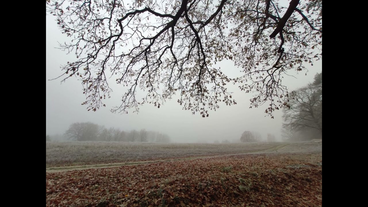 A. Vivaldi - Autumn