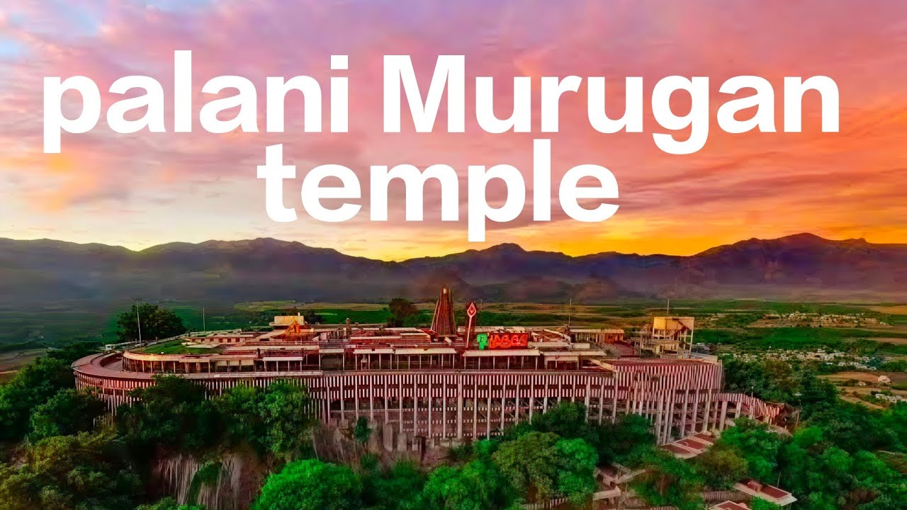 Palani Murugan temple festival 🎎🎎🎎🛕🛕🛕🛕🛕⛩️⛩️⛩️⛩️