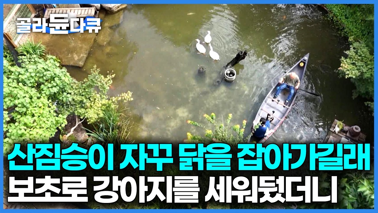 시골 5천 평 땅을 사서 50마리의 동물을 여기다 풀었다, 도시의 삶을 정리하고 동물농장을 만든 부부｜한국기행｜#골라듄다큐