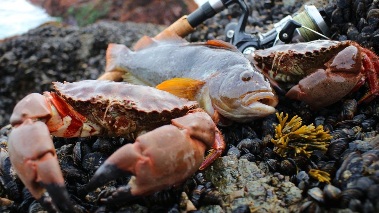 Coastal Foraging: Greenling, Crab, Mussels, Urchin Dinner on the Beach