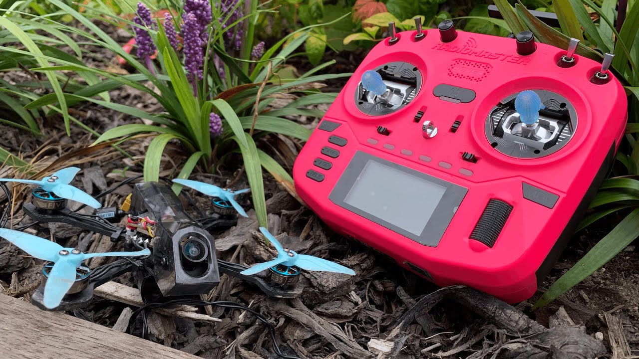 Backyard tiny trainer flying