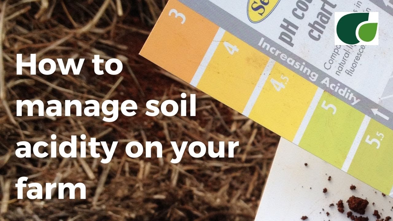 Soil Acidity: How to manage soil acidity on tropical soils