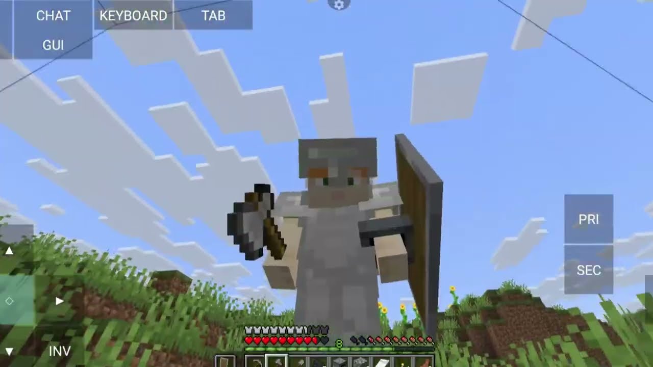 Jogando Minecraft