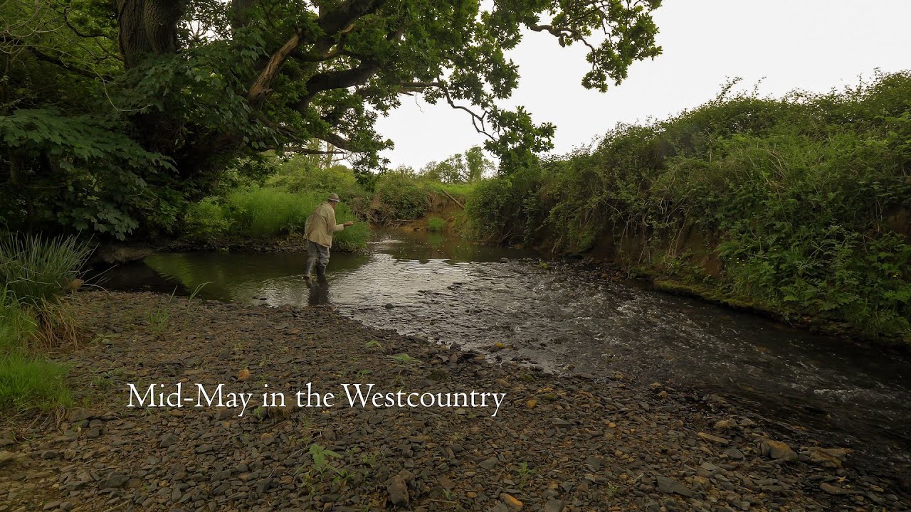 Mid May in the Westcountry