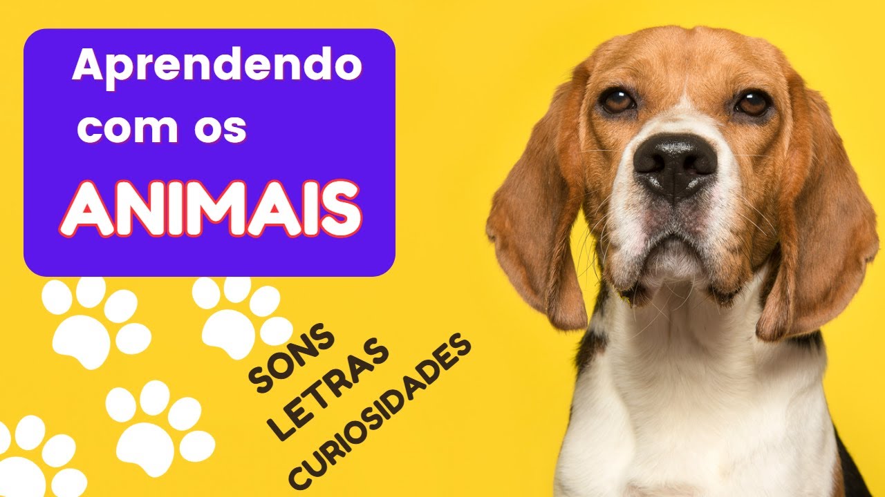 Aprendendo palavras novas e letras do alfabeto com os animais (Cachorro)