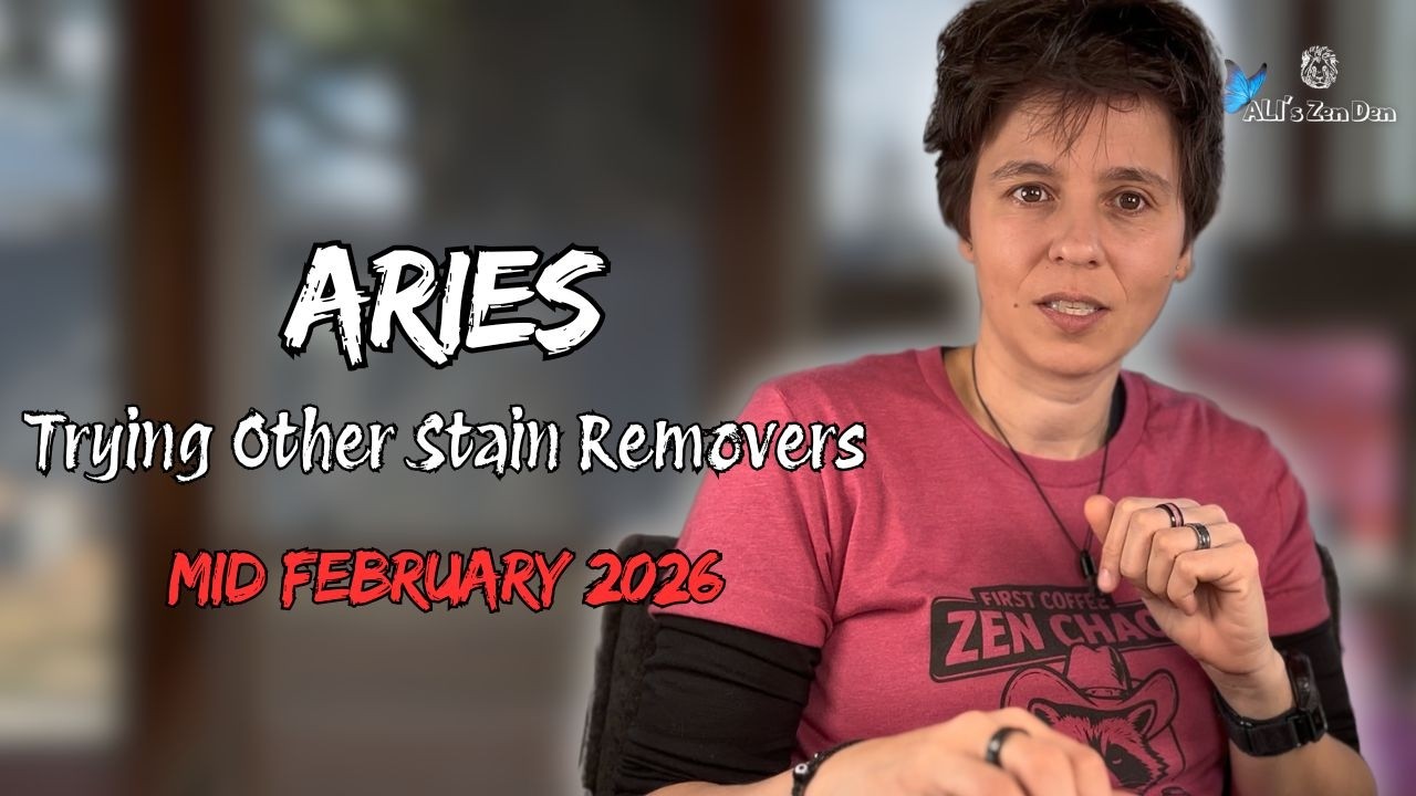 ARIES ♈︎ MID FEBRUARY 2026 - 