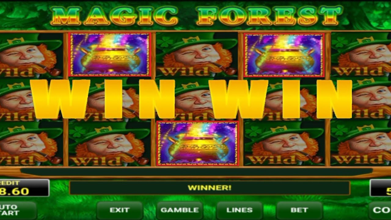 MAGIC FOREST CASINO BOUNS HUNTER 🤑 هذا هو سحر البونيس