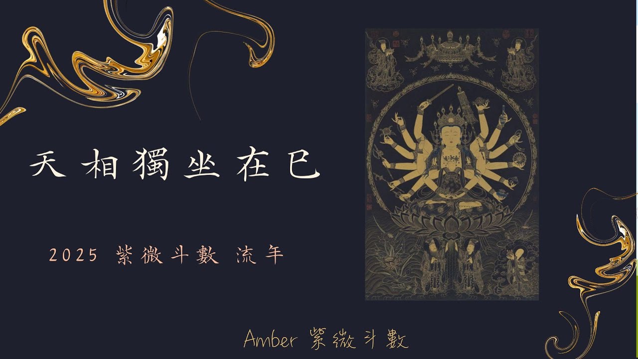 2025流年 -- 天相獨坐在巳宮(中文字幕)  -- Amber．紫微斗數